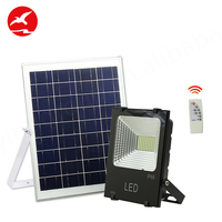 Projecteur LED solaire miniature le plus puissant pour terrain de basket-ball 12V IP65 avec capteur solaire 40W-300W