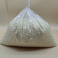 WaxNewK Perles de cire dure professionnelle Crème de chocolat blanc Lait Cire brésilienne en vrac 22lb 10 kg