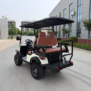 Vehículo Turístico Comercial Popular, Carro de Golf de Litio, Buggy de Golf para Hotel, Carro de Golf Clásico - Product Image 3