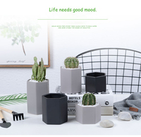 Pot de fleurs en céramique écologique au design moderne avec trou de drainage pour plantes succulentes, décoration de jardin et de bureau
