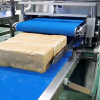 Machine à trancher le pain en blocs entiers, industrielle et commerciale, trancheuse à pain à mouvement alternatif, équipement de découpe automatique du pain pour boulangerie
