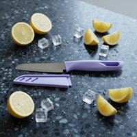 Couteau à fruits multifonction de 4 pouces, lame en acier inoxydable, revêtement de sécurité en plastique écologique, mini couteau de cuisine, couteau à éplucher les fruits, couteau à salade