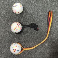 Le plus récent jouet à mâcher pour chien E-TPU boules de corde creuses élastiques durables pour les mâcheurs agressifs