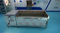 Machine de nettoyage de légumes à rouleaux brosse robuste, machine automatique de lavage et de pelage de pommes de terre pour ferme et usine de transformation alimentaire