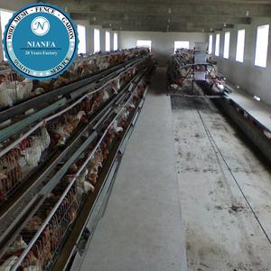 Malla de Alambre Soldada para Aves de Corral, Equipo Avícola de Madagascar Guinea, de Fábrica en Guangzhou, para Jaulas Avícolas - Product Image 5