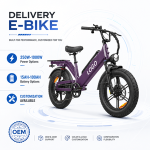 Bicicleta Eléctrica Personalizada OEM con Batería de 48V 55Ah, Alcance de 240km, 750W, 80Nm de Torque, Neumáticos Anchos, para Entregas de Larga Distancia - Product Image 1