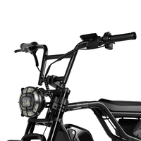 DOMLIN Best Verkochte Modellen in Nederland Ebike Fat Tire City Elektrische Hybride Fiets