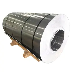 Cold/Hot Rolled Stainless Steel Coil ASTM 304 304L 316L Ss Inox Metal Steel Coil