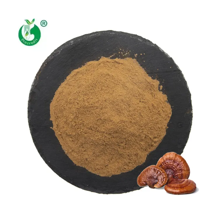 Chinese Manufacturer Bulk Price Organic Reishi Mushroom Powder Ganoderma Lucidum Extract