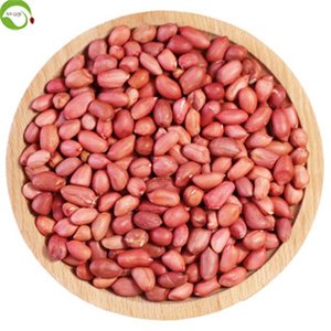 Cây trồng mới Trung Quốc đậu phộng hạt với da đỏ nguyên chế biến - Product Image 3