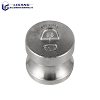 Bouchon anti-poussière Camlock de type DP en acier inoxydable 304, raccord rapide femelle pour fermeture de ligne de tuyau et prévention de la contamination
