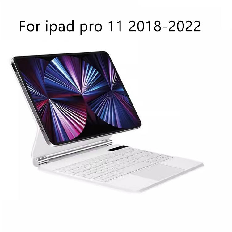 Blanc + 2018-2022 pro 11