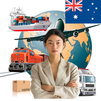 Service logistique DDP par voie aérienne UPS DHL Livraison express Agence de fret de Chine aux États-Unis Amazon FBA UK Fret aérien DDP jusqu'à la porte