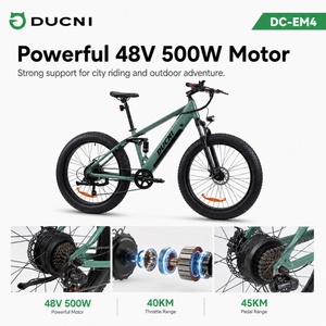 48V 500W Fatbike E-Bike für Stadt, Berge, Schnee und Strand DC-EM4 DC-EM4 - Product Image 2