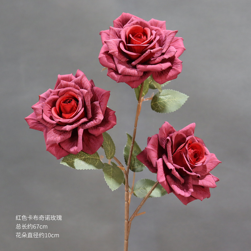 A Red Cappuccino Rose