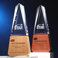 Trophée en cristal en gros d'usine avec base en bois, plaque de récompense vierge personnalisable avec gravure laser pour événements d'entreprise