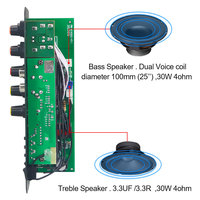 VIRE 12V 24V Araç Amfi Kartı 30W Şarj Edilebilir Mini Amfi Alıcısı Dış Mekan Subwoofer Güç Amplifikatörü Modülü
