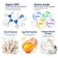 Comprimés de calcium, vitamine D et acides aminés pour enfants, marque privée OEM, pour la nutrition osseuse quotidienne, complément alimentaire, vente en gros, fourniture d'usine