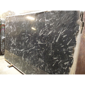 Tấm Đá Cẩm Thạch Đen Đánh Bóng Sàn Phòng Tắm, Đá Tự Nhiên Hóa Thạch - Product Image 6