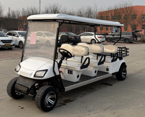 รถกอล์ฟไฟฟ้าขนาดเล็ก2ที่นั่ง2 + 2/3-4ที่นั่งขายดีด้วยความเร็ว30กม./ชม. และช่วง100กม. - Product Image 6