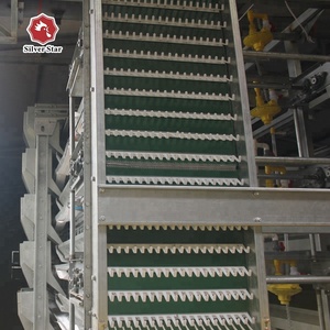 Tự động gà trứng pin lồng ethiopia hai lớp trang trại gà gia cầm thiết bị để bán - Product Image 5