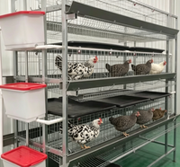 Cage à poules pondeuses galvanisée de type H à 4 niveaux, 4 portes, en treillis métallique durable