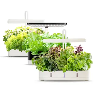 J & C Minigarden CE RoHS ETL saab home, petit système de culture hydroponique d'intérieur, jardinière hydroponique intelligente