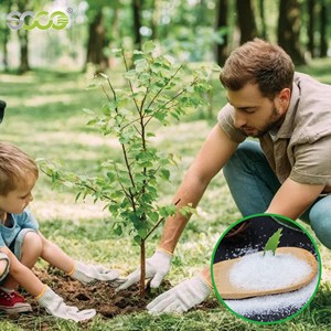 הידרוג 'ל מים לחקלאות שתילה שימוש פולימר סופג פולימר - Product Image 3