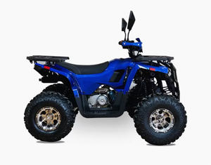 Cuatrimoto Infantil Premium de 4 Tiempos con Motor de Gasolina, Manillar de Plástico, Personalizable OEM/ODM, con Tracción de Cadena, 110cc 125cc ATV - Product Image 2