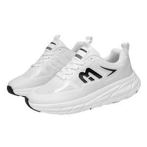 Chaussures de sport pour hommes à lacets, respirantes, en maille fine, décontractées, légères, confortables, souples, à semelle souple, grandes tailles, toutes tailles - Product Image 1