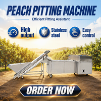 Nieuwe fruit- en groenteverwerkingsmachine 4,2 kW automatische snijmachine met PLC-besturing, hoge capaciteit, gemotoriseerd