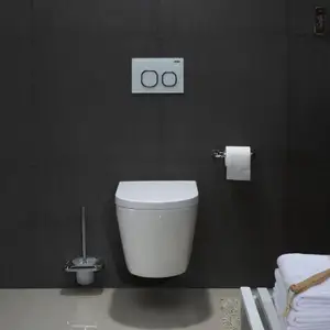 ヨーロッパデザイン経済的なモダンリムレスセラミックバスルーム壁掛けトイレマウントをワンピースで洗う