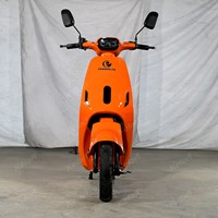Vélo Électrique 48V OEM à Cadre en Acier, 2 Roues, pour Trajet Urbain, Vente en Gros Directe Usine pour Employés de Bureau, E-bike, Cyclomoteur