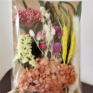 Sac en plastique format A5 Matériaux de bricolage Vraies fleurs naturelles séchées <span class=keywords><strong>m</strong></span>élangées Vente en gros Mini fleurs séchées Ne <span class=keywords><strong>m</strong></span>'oublie pas Fleurs séchées - Product Image 1