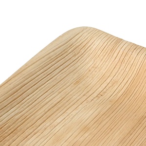 Assiettes jetables carrées en feuilles de palmier naturelles, écologiques, biodégradables, luxe, 23x23cm, pour fêtes - Product Image 4