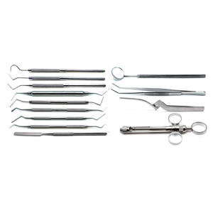 Premium Quality Unique Style Manual Stainless Steel Dental <b>Instruments</b> Mirror With Handle Scalers Curettes Syringe 13-Piece Set - Product Image 1