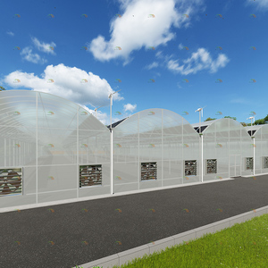 <span class=keywords><strong>Serre</strong></span> photovoltaïque à économie d'énergie pour la culture de légumes et de fleurs agricoles bon marché - Product Image 4
