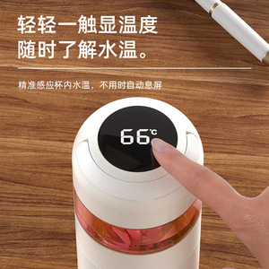Tomic Smart Water <b>Bottle</b> With Temperature Display Ceramic Inner Portable For Home Office Travel Gifting - Product Image 2