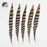 Vente directe d'usine Reeves plumes de faisan grand 35-40CM carnaval casque artisanat motif brut Table déco Costume