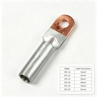 Câble de transition cuivre-aluminium avec borne de connexion DTL-16-25-35-50-70-95 mm² Fabriqué à Hebei