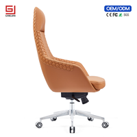 Chaise de bureau ergonomique professionnelle avec soutien lombaire et fonction pivotante