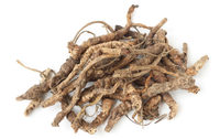 Séchoir et stérilisateur à micro-ondes de type tunnel à bande transporteuse pour herbes, notamment Angelica Sinensis