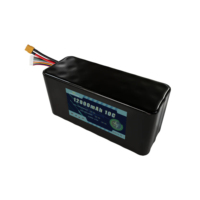 Batterie Li-ion rechargeable MASON POWER pour drone FPV 12000mAh 8S3P 29.6V 10C Connecteur XT60/90 pour modèles RC, avions et drones – Garantie 5 ans