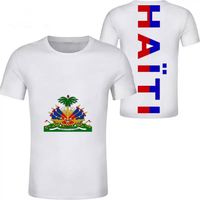 Qualité en gros Haïti drapeau impression Gym t-shirt pour hommes quantité minimum de commande été plage haut décontracté meilleure vente t-shirt personnalisé