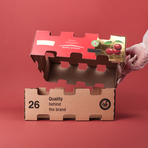 Caja <span class=keywords><strong>de</strong></span> Cartón Corrugado Impresa Personalizada <span class=keywords><strong>para</strong></span> Empaque <span class=keywords><strong>de</strong></span> Frutas, <span class=keywords><strong>Cajas</strong></span> <span class=keywords><strong>de</strong></span> Envío <span class=keywords><strong>para</strong></span> Cerezas Frescas, Kiwi, Arándanos y Maíz - Product Image 6
