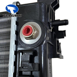 TONGSHI 95942346 Ricambi Auto, Serbatoio Acqua Sistema di Raffreddamento, Radiatore Auto Compatibile con <span class=keywords><strong>Chevrolet</strong></span> <span class=keywords><strong>Spark</strong></span> L4 1.2L 2014-2015 - Product Image 5