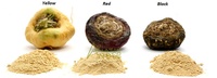 Fabricant de poudre d'extrait de racine de Maca biologique pur du pérou