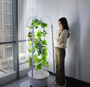 Tour de culture verticale hydroponique et aéroponique Lyine 2024 <span class=keywords><strong>pour</strong></span> légumes et fruits - Product Image 2