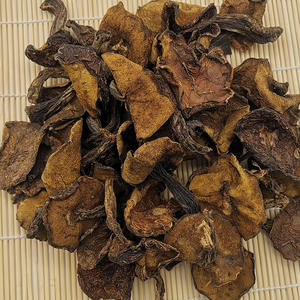 Hongos Silvestres Chinos <span class=keywords><strong>Boletus</strong></span> <span class=keywords><strong>Luteus</strong></span>, Hongos <span class=keywords><strong>Boletus</strong></span> <span class=keywords><strong>Luteus</strong></span> Pegajosos en Venta - Product Image 6