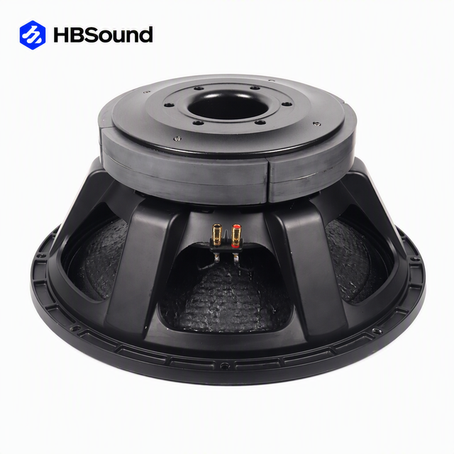 Professional 21 Inch PA Speaker Subwoofer for Outdoor Use Subwoofer Speaker